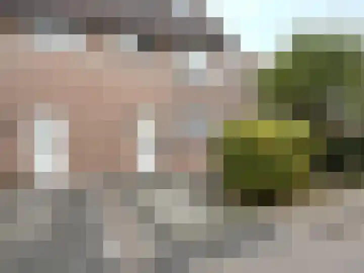 Pinksterbloem 46 Purmerend thumbnail 32