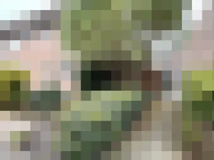 Pinksterbloem 46 Purmerend thumbnail 34