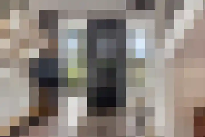 Pinksterbloem 46 Rijssen thumbnail 10