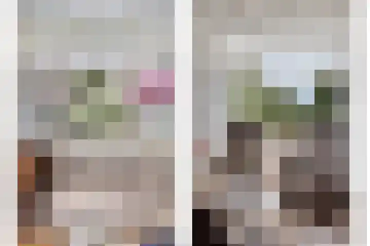 Pinksterbloem 46 Rijssen thumbnail 15