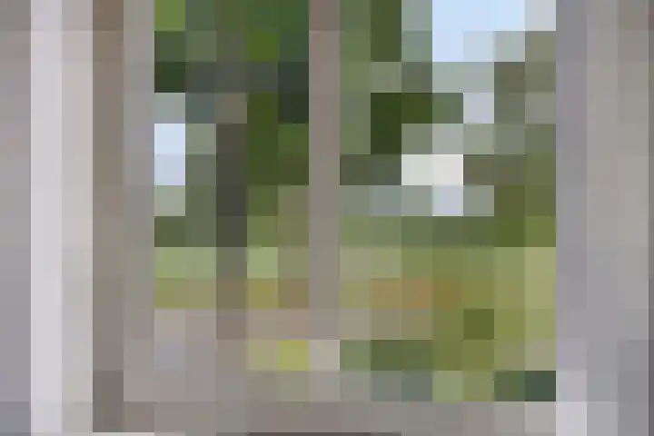 Pinksterbloem 46 Rijssen thumbnail 27