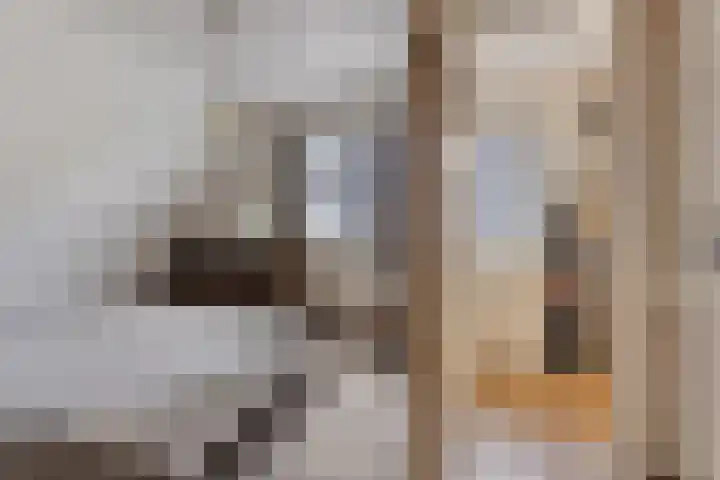 Pinksterbloem 46 Rijssen thumbnail 30