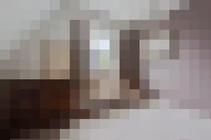 Pinksterbloem 46 Rijssen thumbnail 32