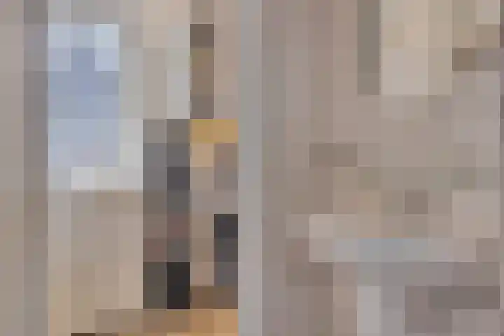 Pinksterbloem 46 Rijssen thumbnail 33