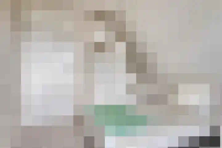 Pinksterbloem 46 Rijssen thumbnail 37