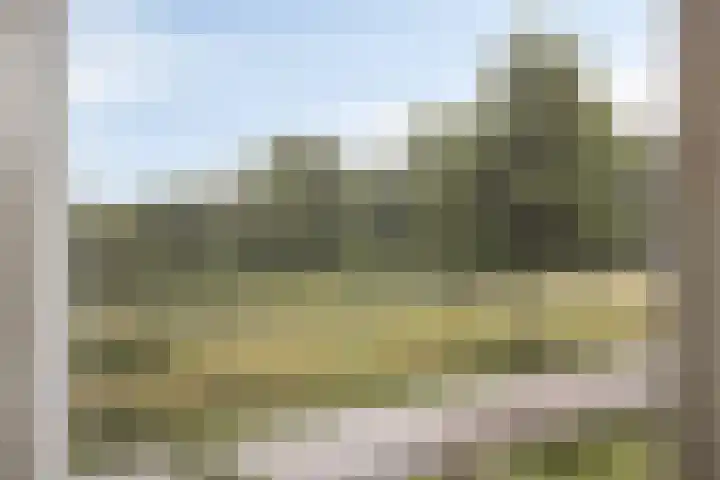 Pinksterbloem 46 Rijssen thumbnail 38
