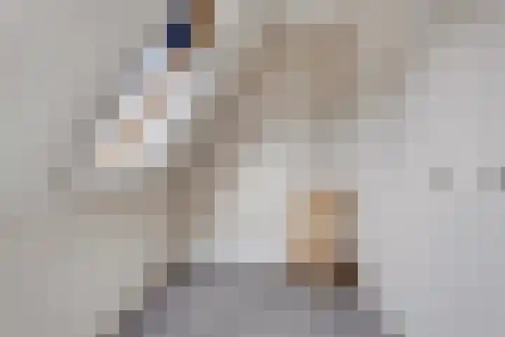 Pinksterbloem 46 Rijssen thumbnail 39