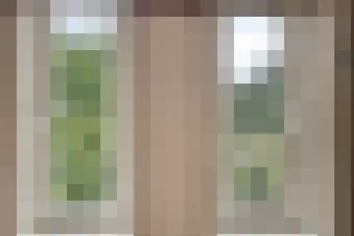 Pinksterbloem 46 Rijssen thumbnail 44