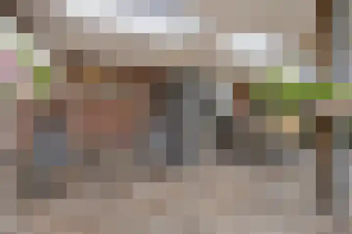 Pinksterbloem 46 Rijssen thumbnail 47