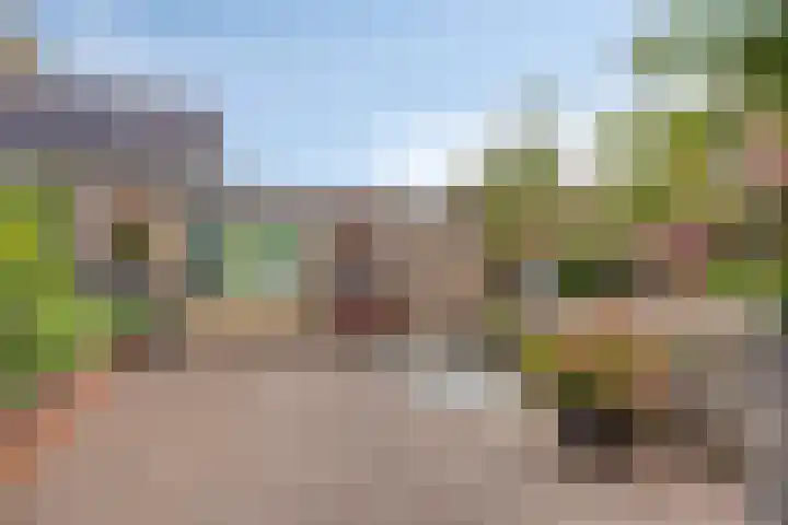 Pinksterbloem 46 Rijssen thumbnail 50