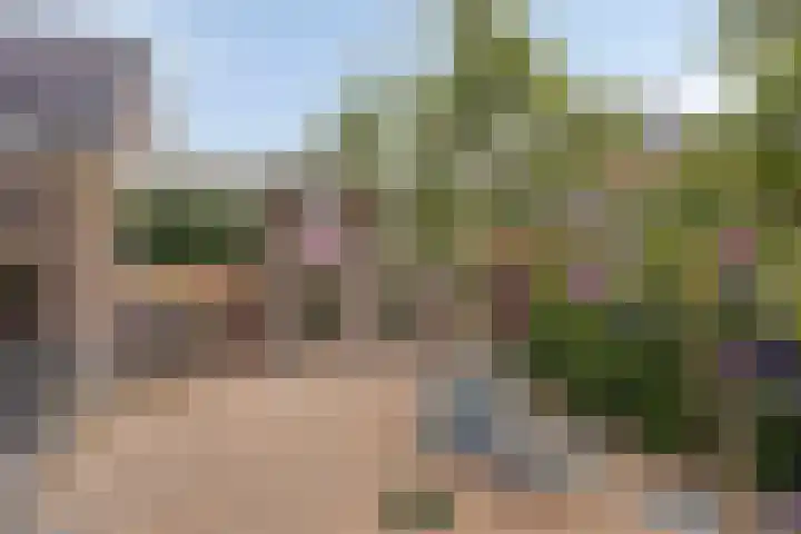 Pinksterbloem 46 Rijssen thumbnail 53