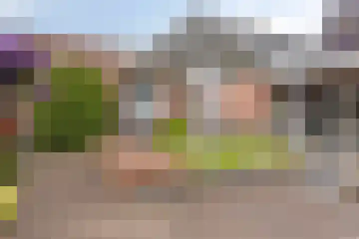 Pinksterbloem 46 Rijssen thumbnail 55