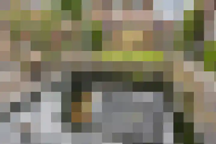 Pinksterbloem 46 Rijssen thumbnail 56