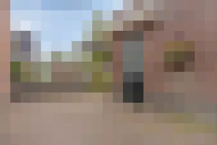 Pinksterbloem 46 Rijssen thumbnail 57