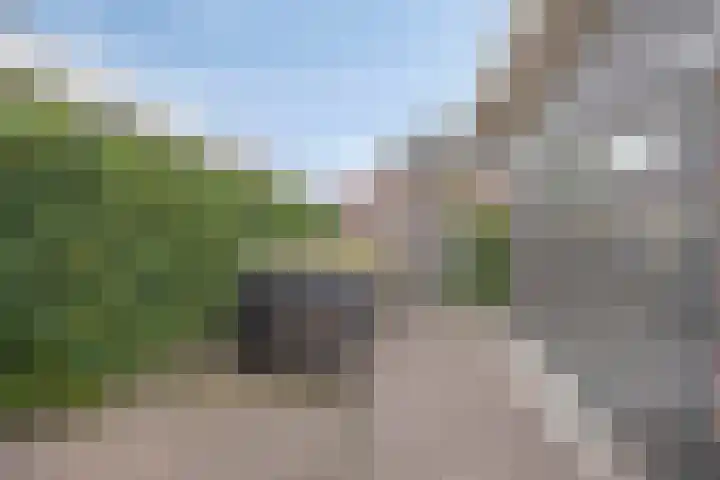 Pinksterbloem 46 Rijssen thumbnail 58