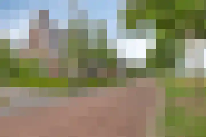 Pinksterbloem 46 Rijssen thumbnail 6