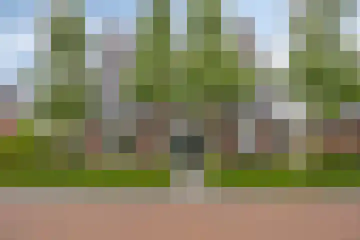 Pinksterbloem 46 Rijssen thumbnail 63