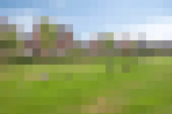 Pinksterbloem 46 Rijssen thumbnail 64