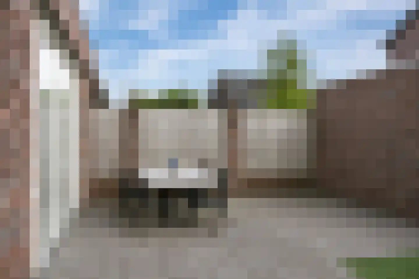Pinksterbloem 48 Boekel thumbnail 25