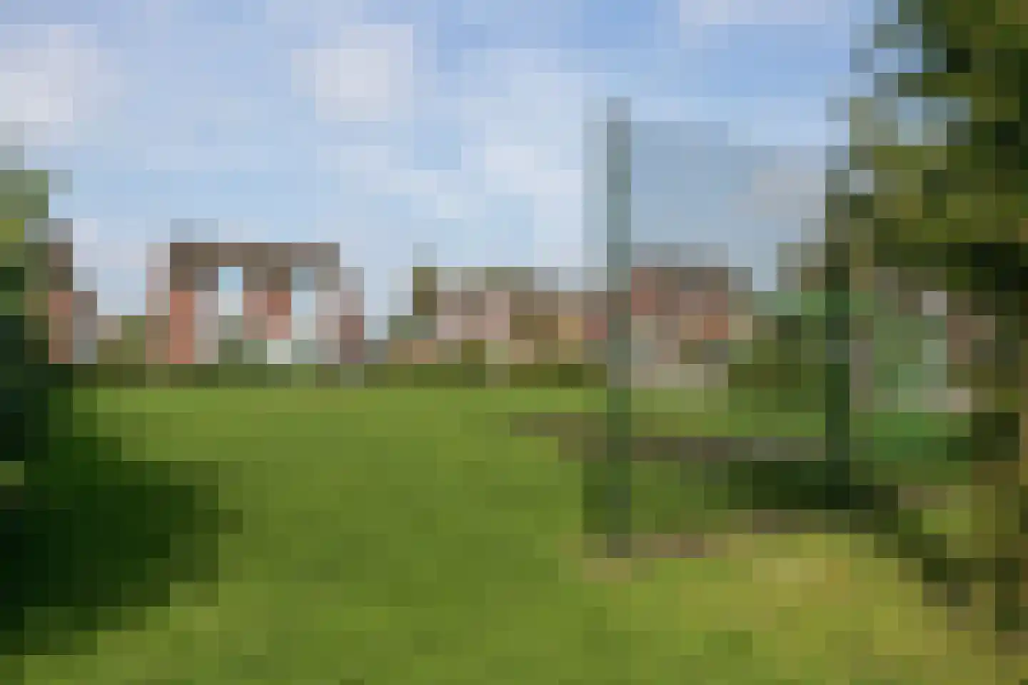 Pinksterbloem 48 Boekel thumbnail 32