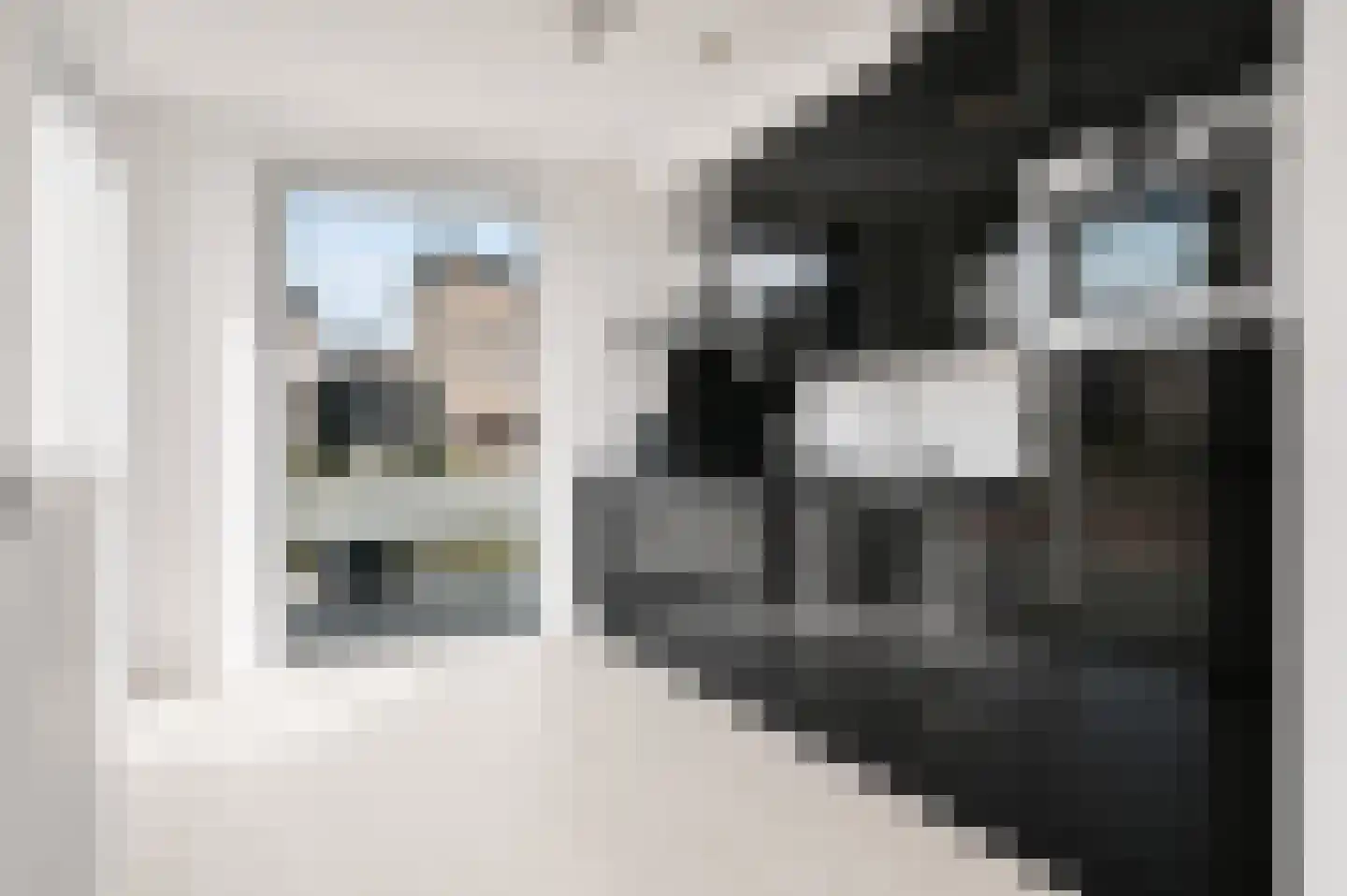 Pinksterbloem 48 Boekel thumbnail 8