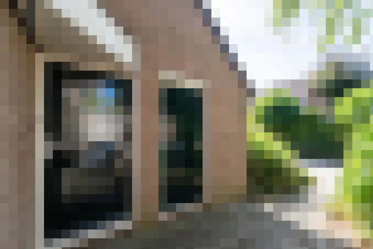 Pinksterbloem 48 Kampen thumbnail 11