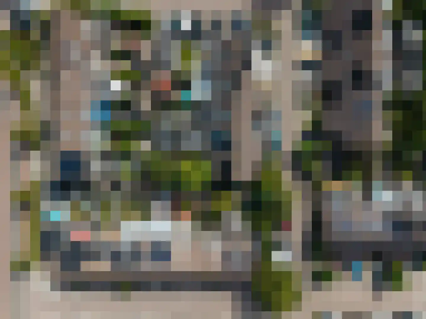 Pinksterbloem 48 Kampen thumbnail 47