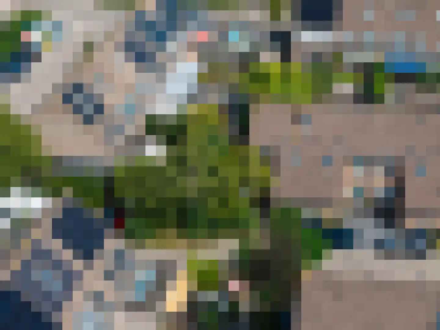 Pinksterbloem 48 Kampen thumbnail 5