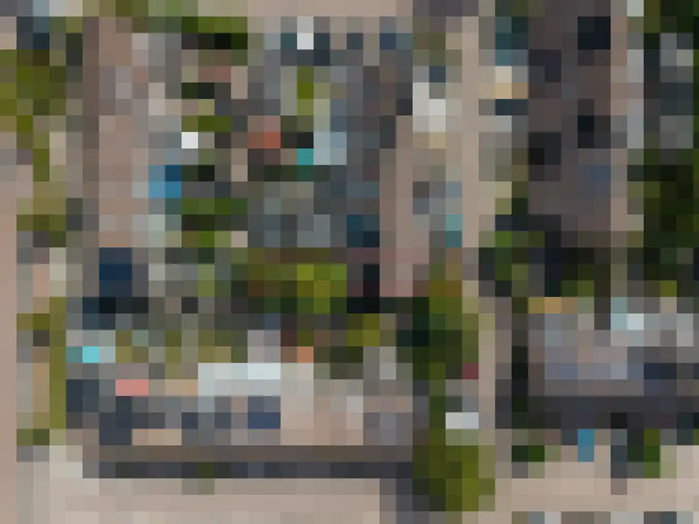 Pinksterbloem 48 Kampen thumbnail 6