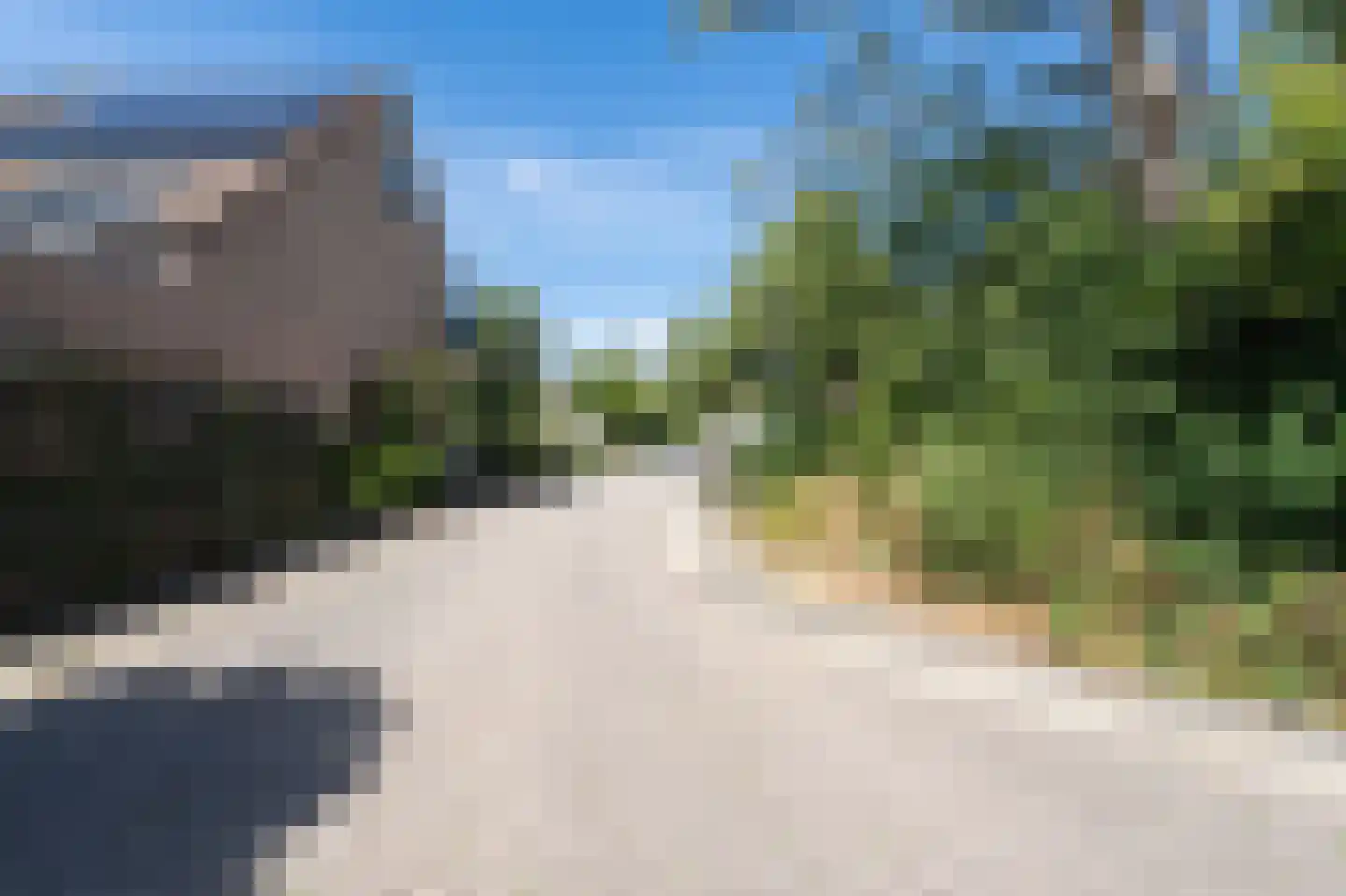 Pinksterbloem 48 Kampen thumbnail 7
