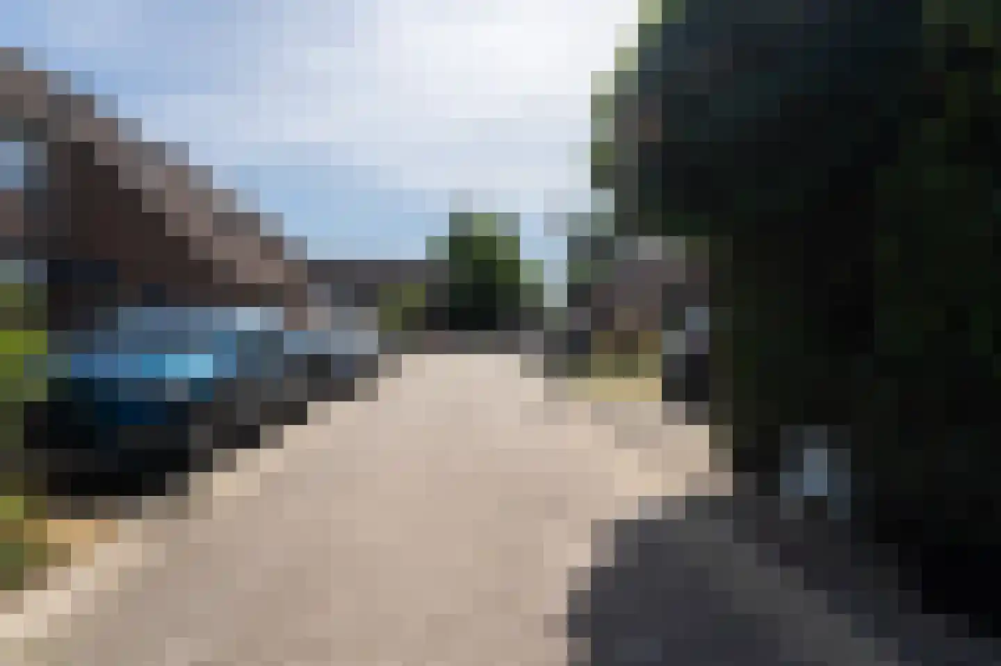 Pinksterbloem 48 Kampen thumbnail 9