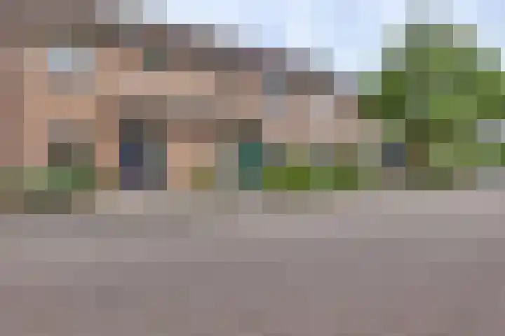 Pinksterbloem 50 Kampen thumbnail 10