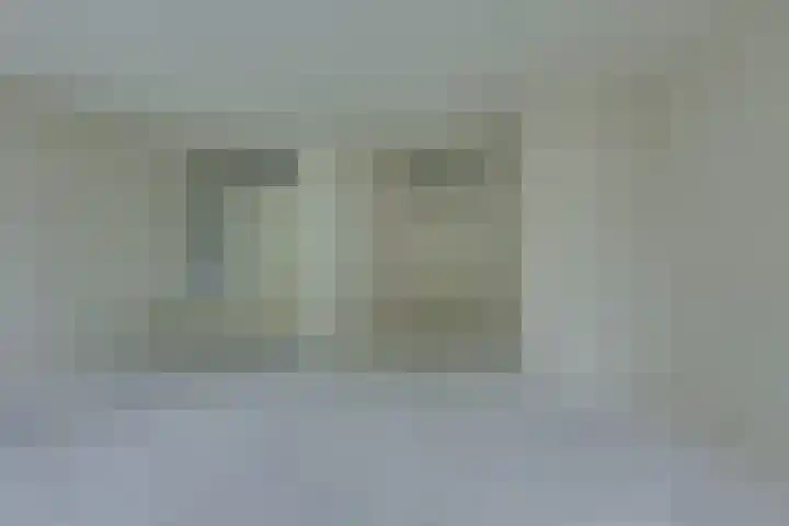 Pinksterbloem 50 Kampen thumbnail 18