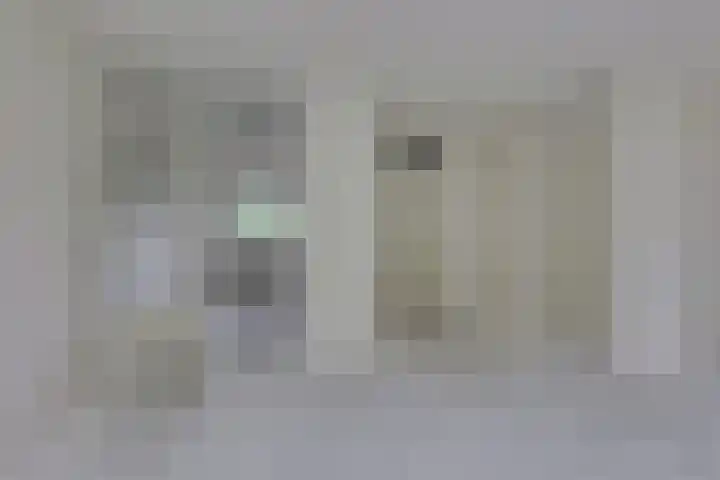 Pinksterbloem 50 Kampen thumbnail 19