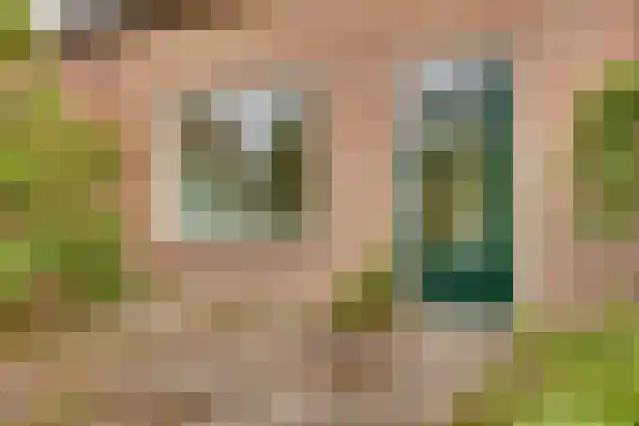 Pinksterbloem 50 Kampen thumbnail 26