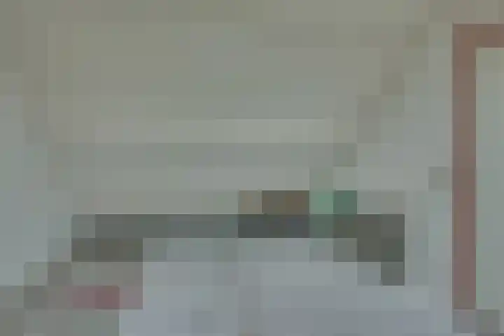 Pinksterbloem 50 Kampen thumbnail 39