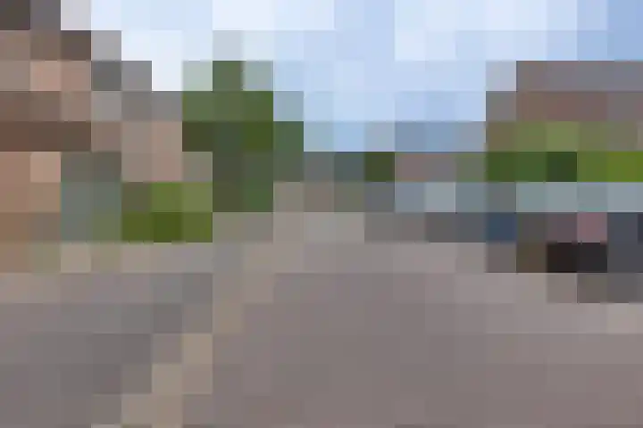 Pinksterbloem 50 Kampen thumbnail 7