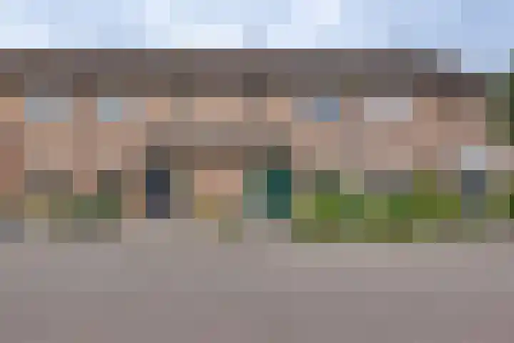 Pinksterbloem 50 Kampen thumbnail 8