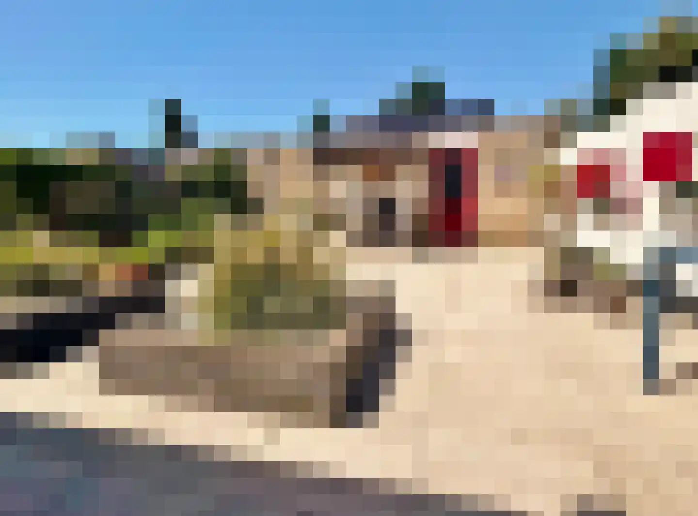 Pinksterbloem 51 Elburg thumbnail 21