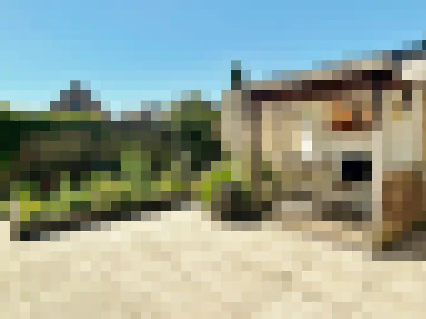 Pinksterbloem 51 Elburg thumbnail 22