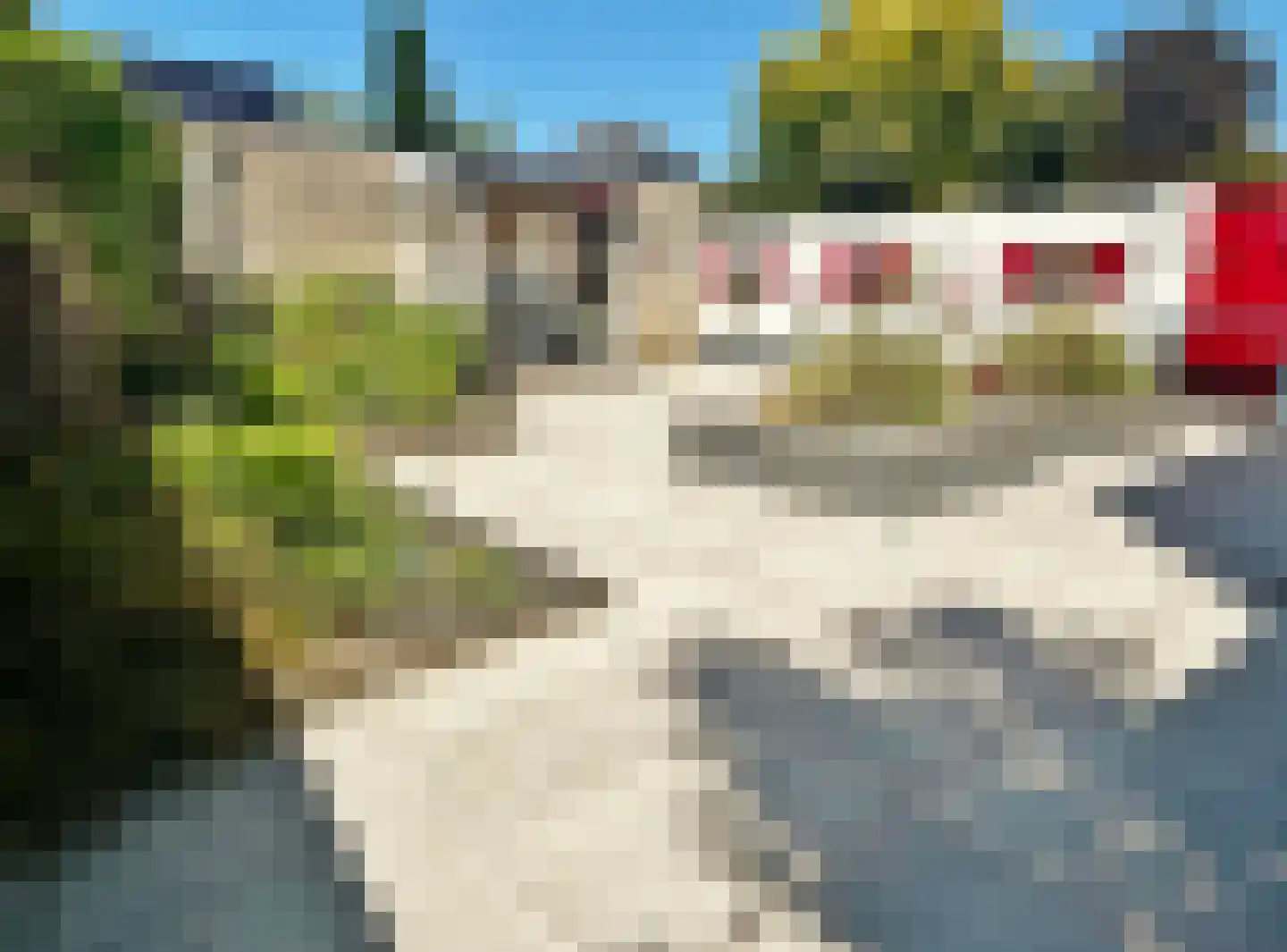 Pinksterbloem 51 Elburg thumbnail 23