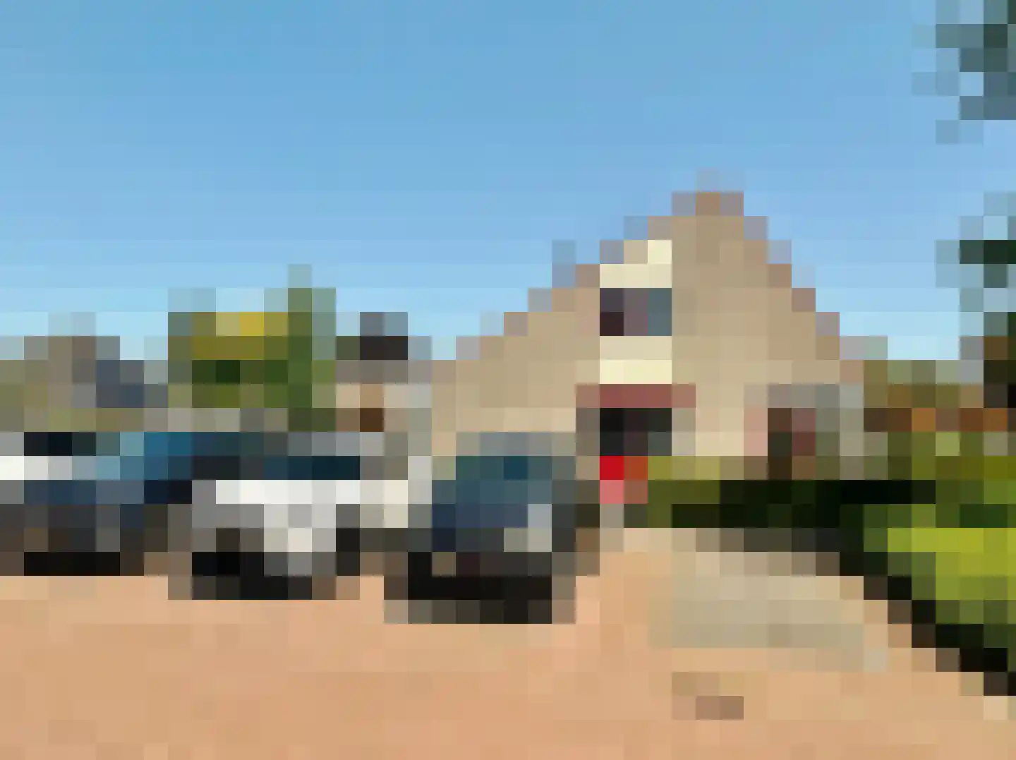 Pinksterbloem 51 Elburg thumbnail 25