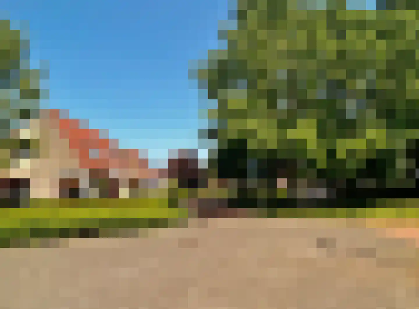Pinksterbloem 51 Elburg thumbnail 26
