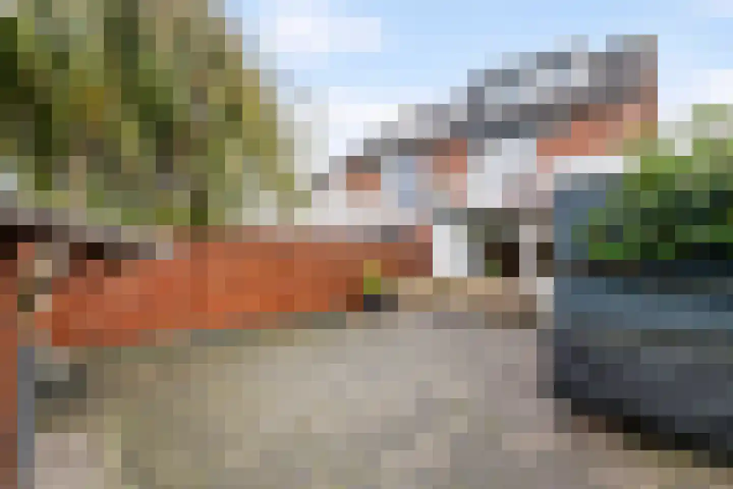 Pinksterbloem 52 Culemborg thumbnail 26