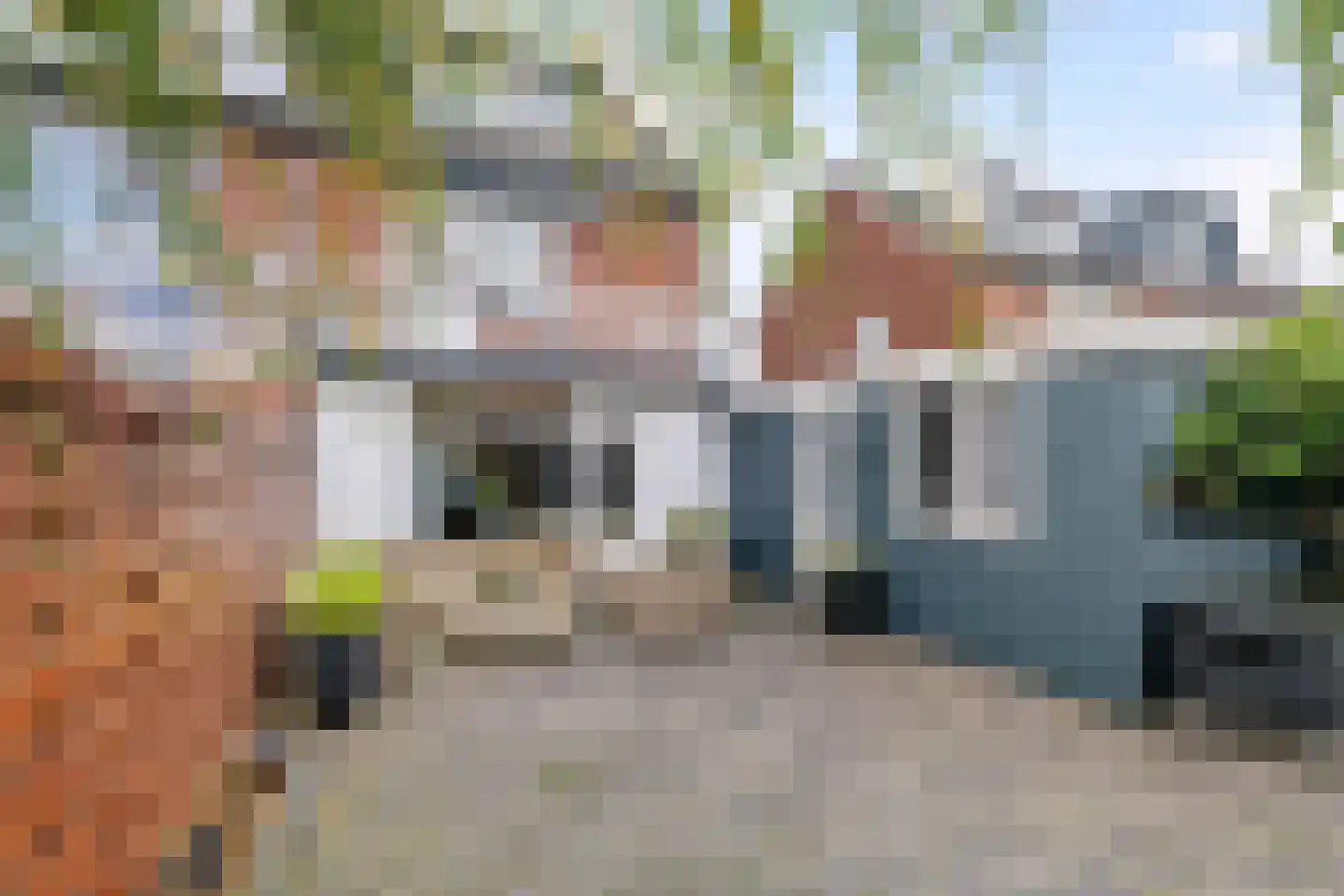 Pinksterbloem 52 Culemborg thumbnail 27
