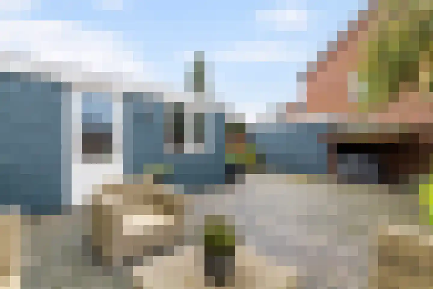 Pinksterbloem 52 Culemborg thumbnail 28