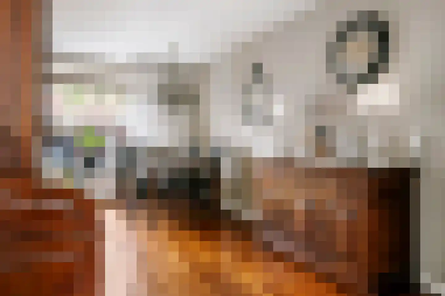 Pinksterbloem 52 Culemborg thumbnail 7
