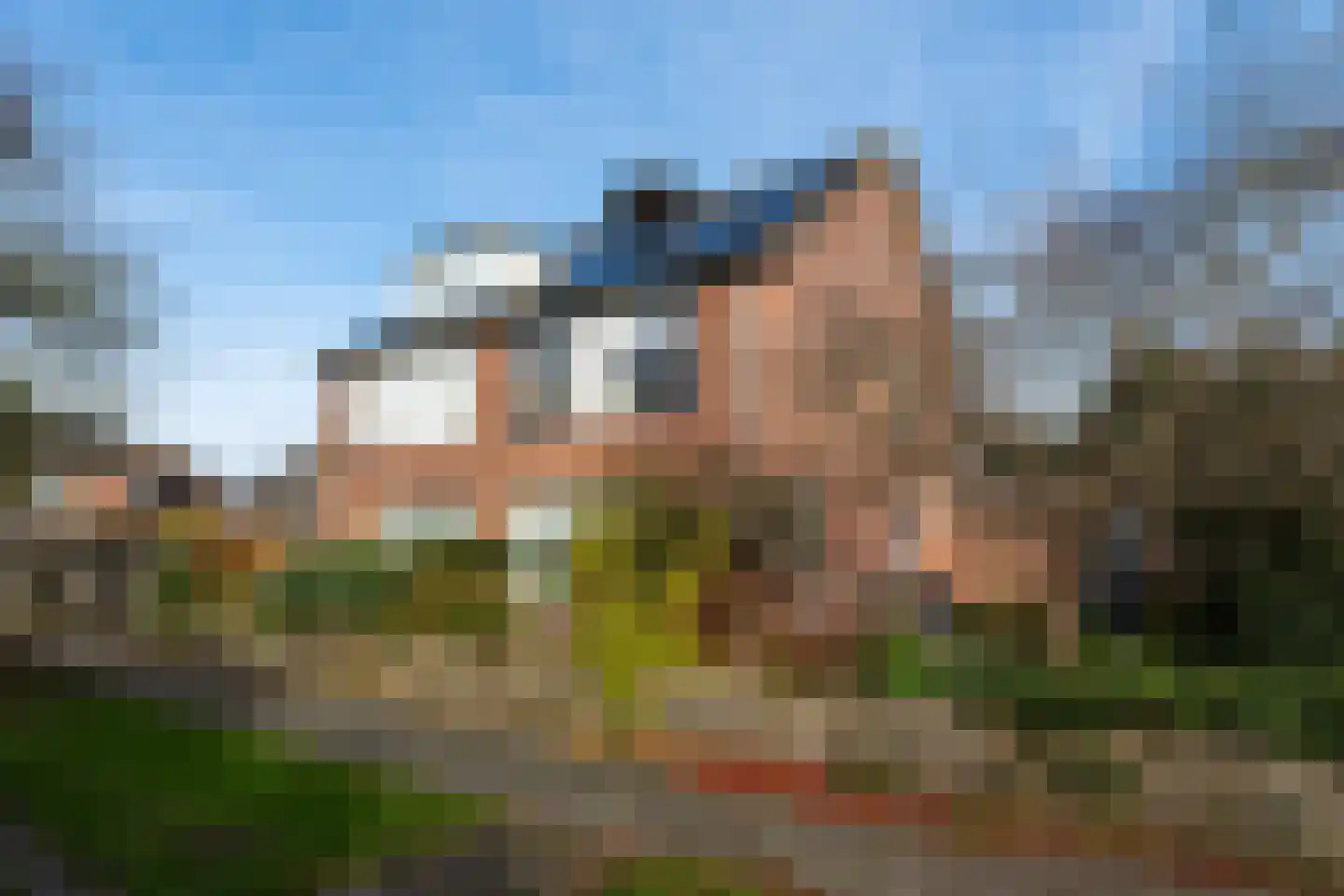 Pinksterbloem 57 Culemborg