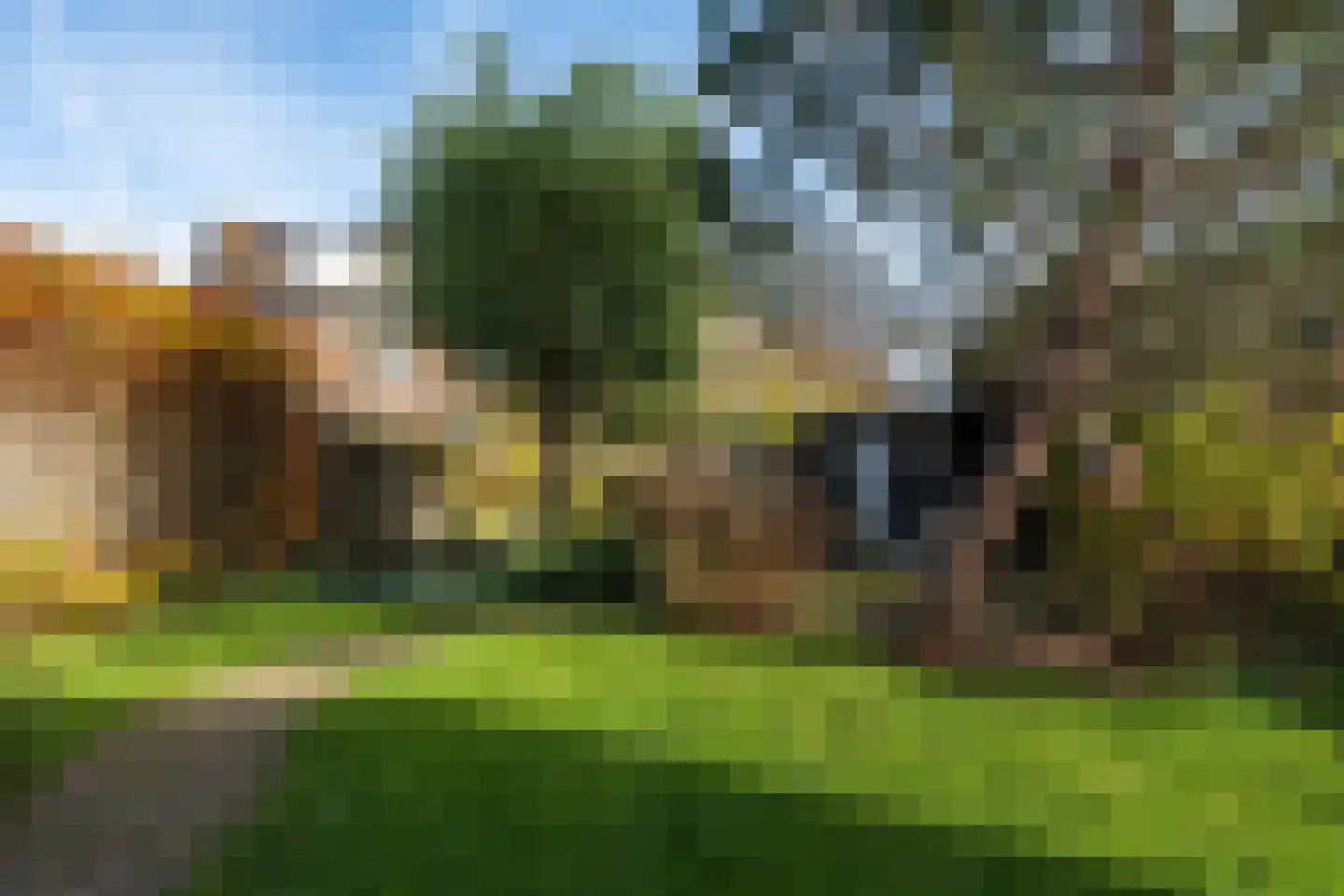 Pinksterbloem 57 Culemborg thumbnail 25