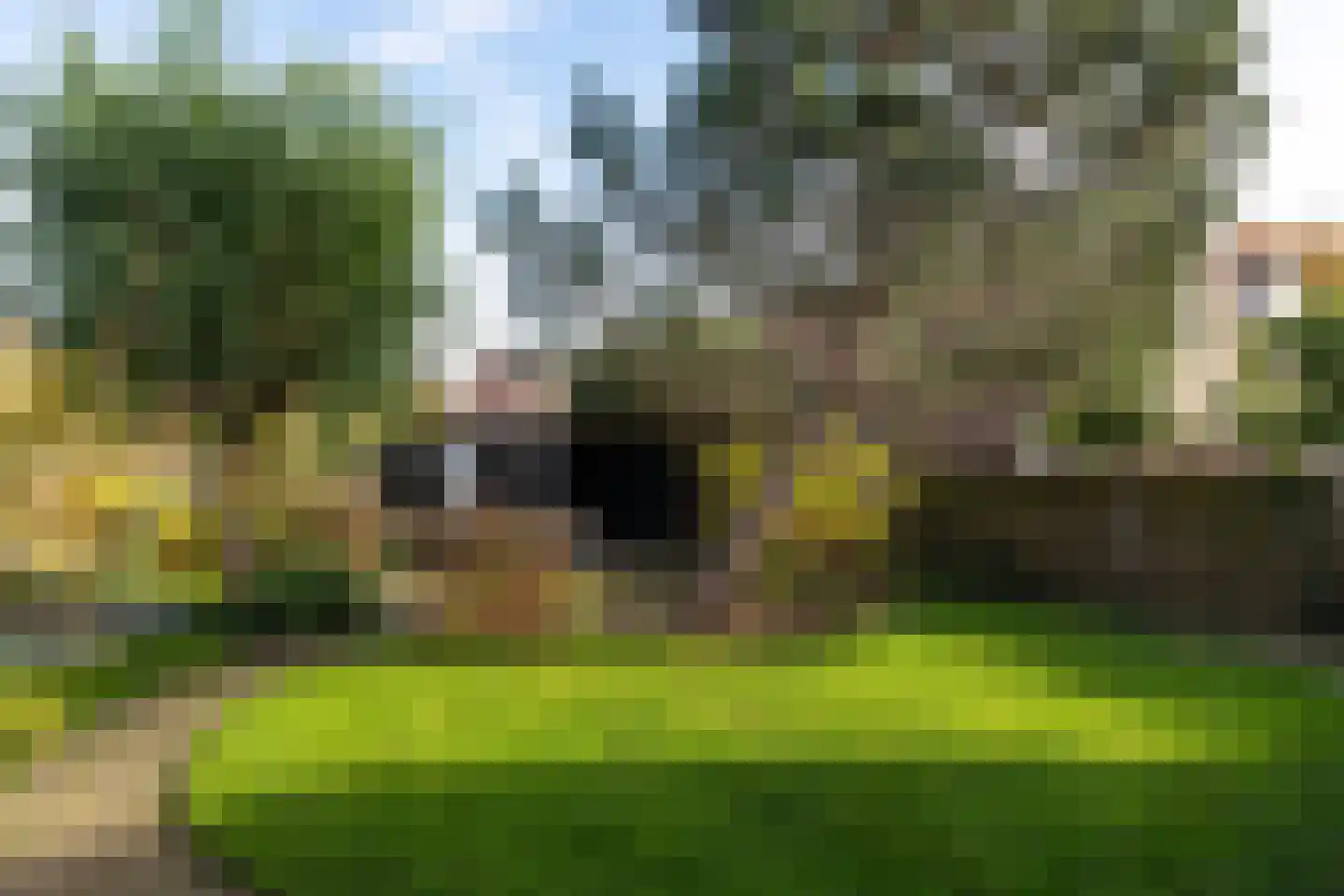 Pinksterbloem 57 Culemborg thumbnail 27